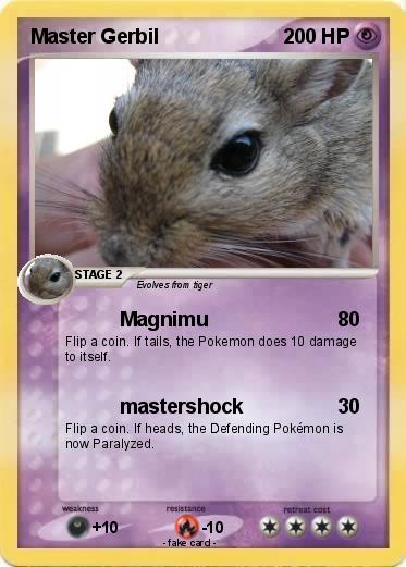 Pokemon Master Gerbil