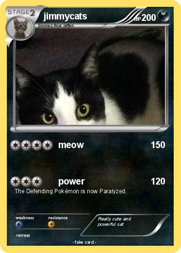 Pokemon jimmycats