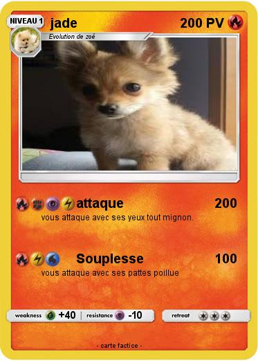 Pokemon jade