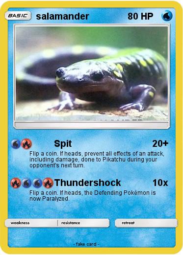 Pokemon salamander