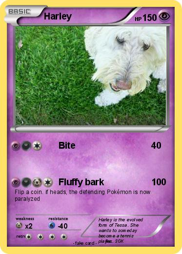 Pokemon Harley