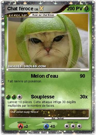 Pokemon Chat féroce
