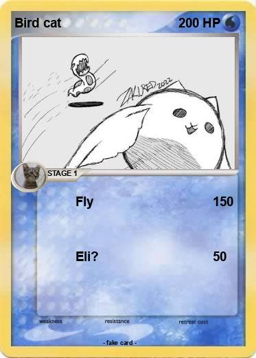 Pokemon Bird cat