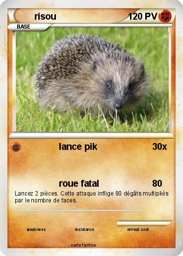 Pokemon risou