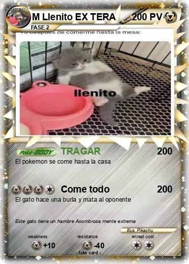 Pokemon M Llenito EX TERA
