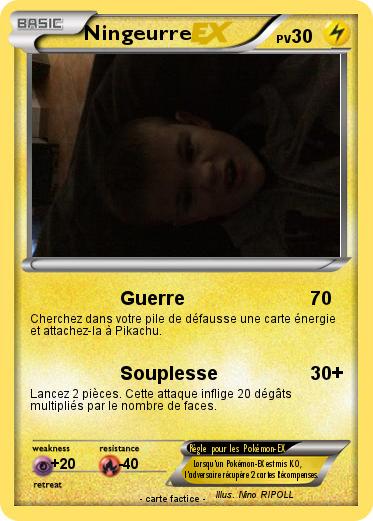 Pokemon Ningeurre