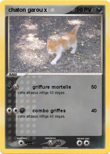Pokemon chaton garou x
