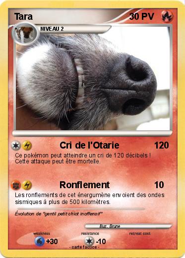 Pokemon Tara