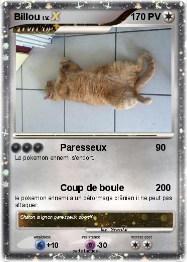 Pokemon Billou
