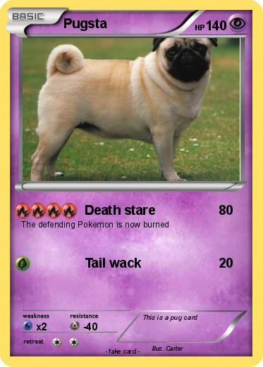 Pokemon Pugsta