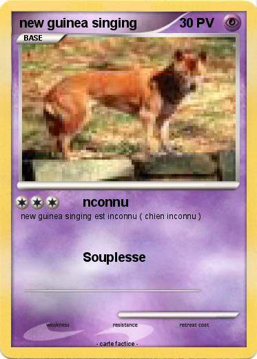 Pokemon new guinea singing