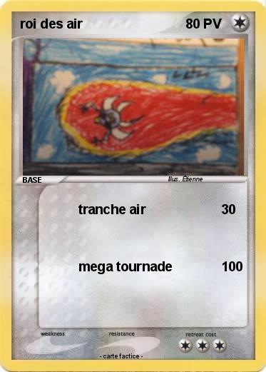 Pokemon roi des air