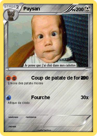 Pokemon Paysan