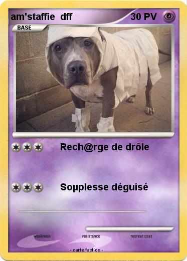 Pokemon am'staffie  dff