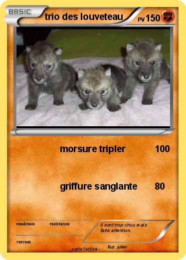 Pokemon trio des louveteau