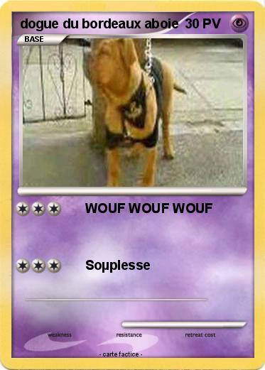 Pokemon dogue du bordeaux aboie