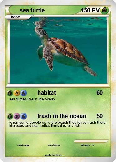 Pokemon sea turtle