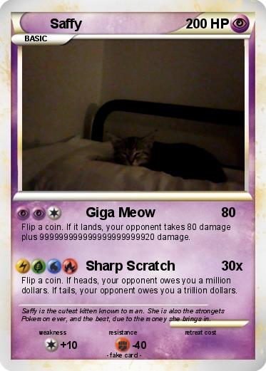 Pokemon Saffy