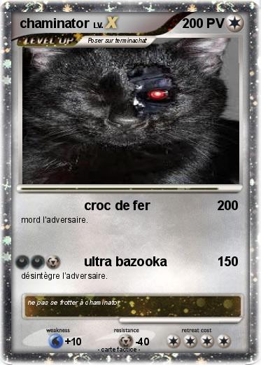 Pokemon chaminator