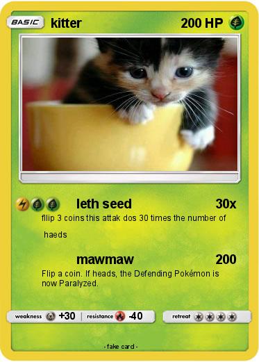 Pokemon kitter