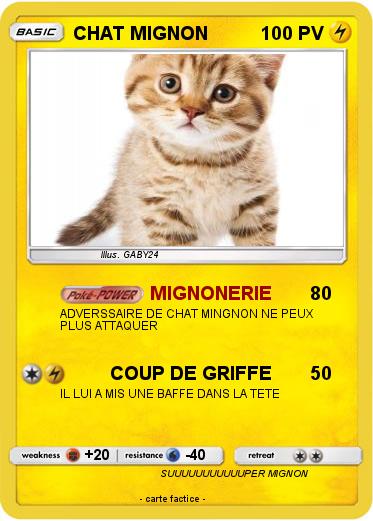 Pokemon CHAT MIGNON