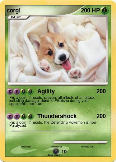 Pokemon corgi