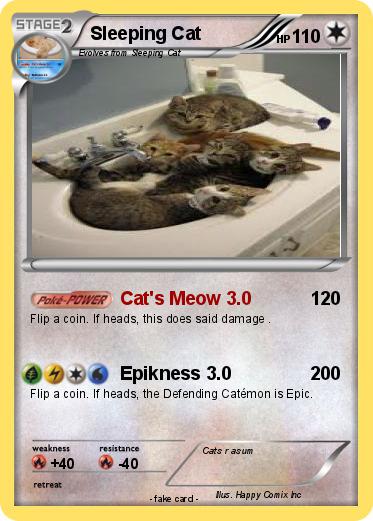 Pokemon Sleeping Cat