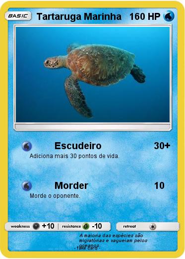 Pokemon Tartaruga Marinha