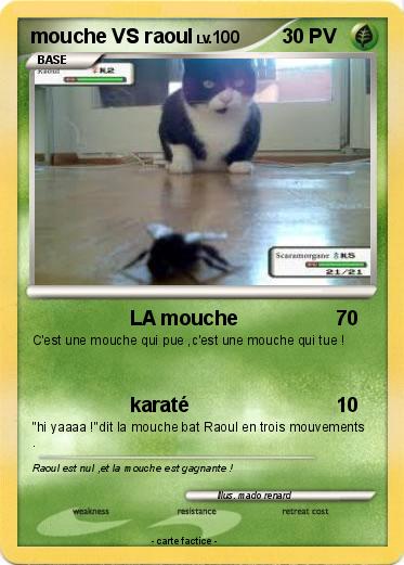 Pokemon mouche VS raoul