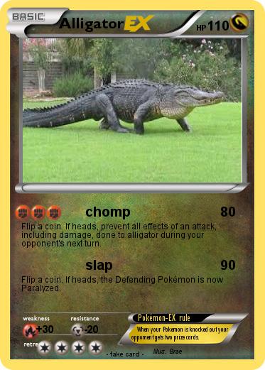 Pokemon Alligator