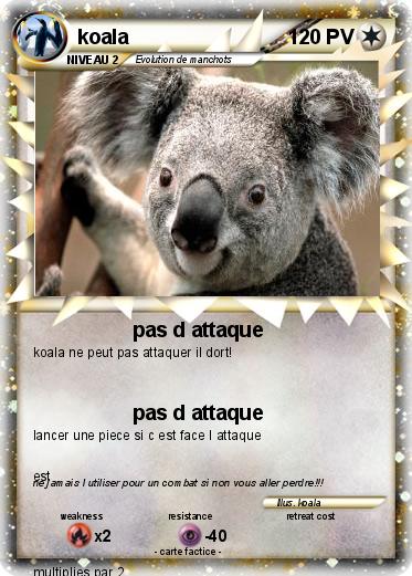 Pokemon koala