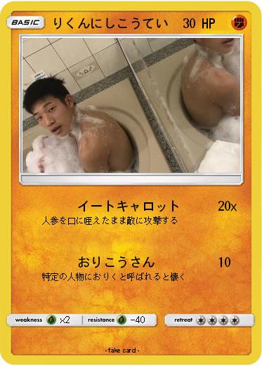 Pokemon りくんにしこうてい