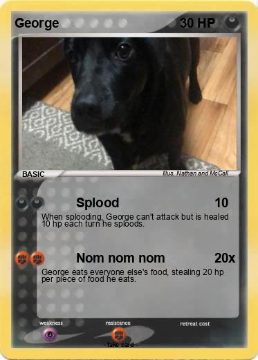 Pokemon George