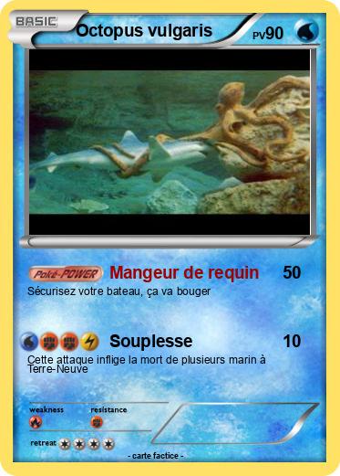 Pokemon Octopus vulgaris