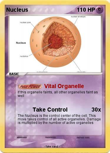 Pokemon Nucleus