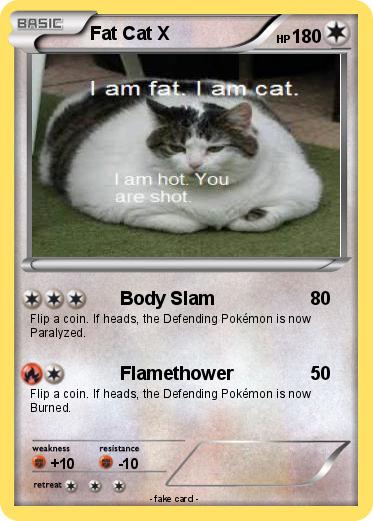 Pokemon Fat Cat X