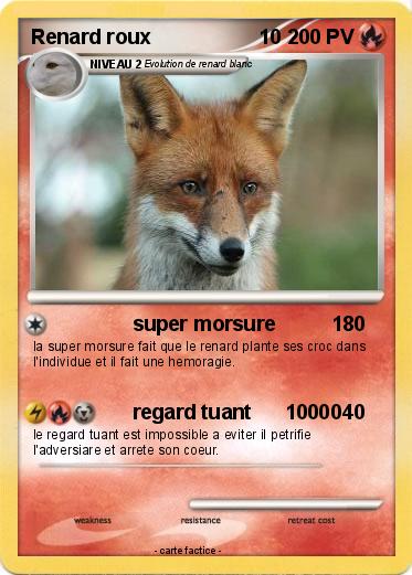 Pokemon Renard roux                   10