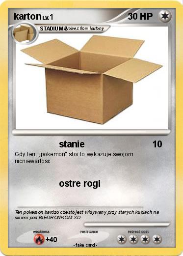 Pokemon karton
