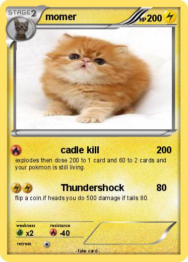 Pokemon momer