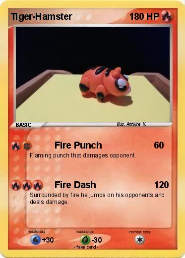 Pokemon Tiger-Hamster