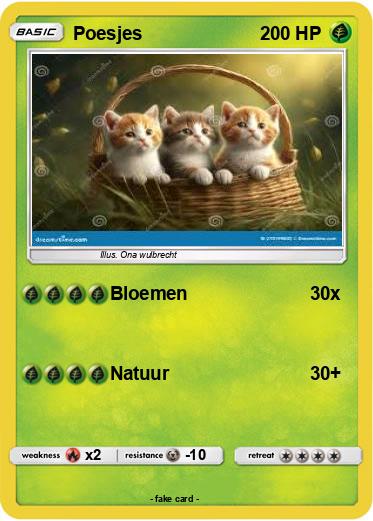 Pokemon Poesjes