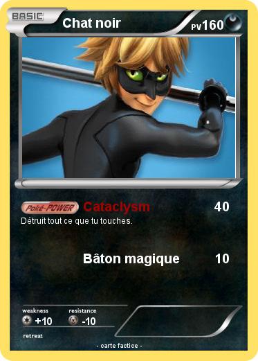 Pokemon Chat noir
