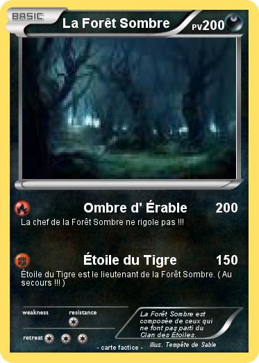 Pokemon La Forêt Sombre