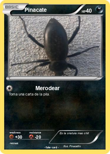 Pokemon Pinacate