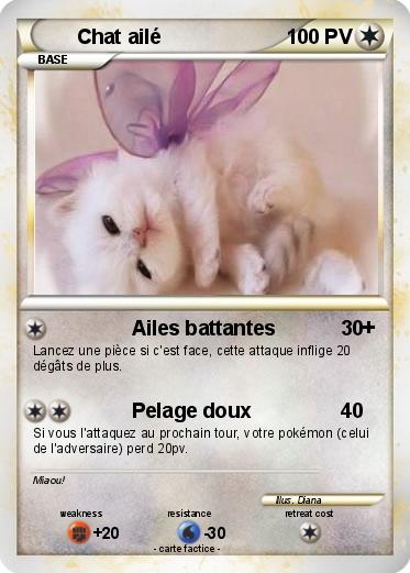 Pokemon Chat ailé