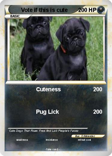 Pokemon Vote if this is cute