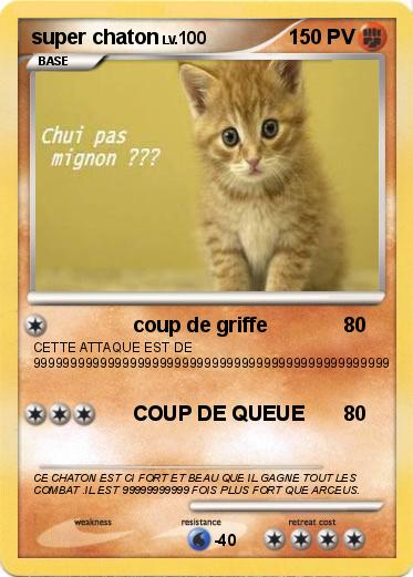 Pokemon super chaton