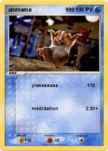 Pokemon ammama                       999        
