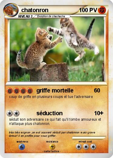 Pokemon chatonron
