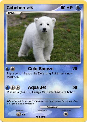 Pokemon Cubchoo